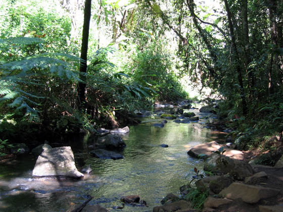 Ellinja Falls